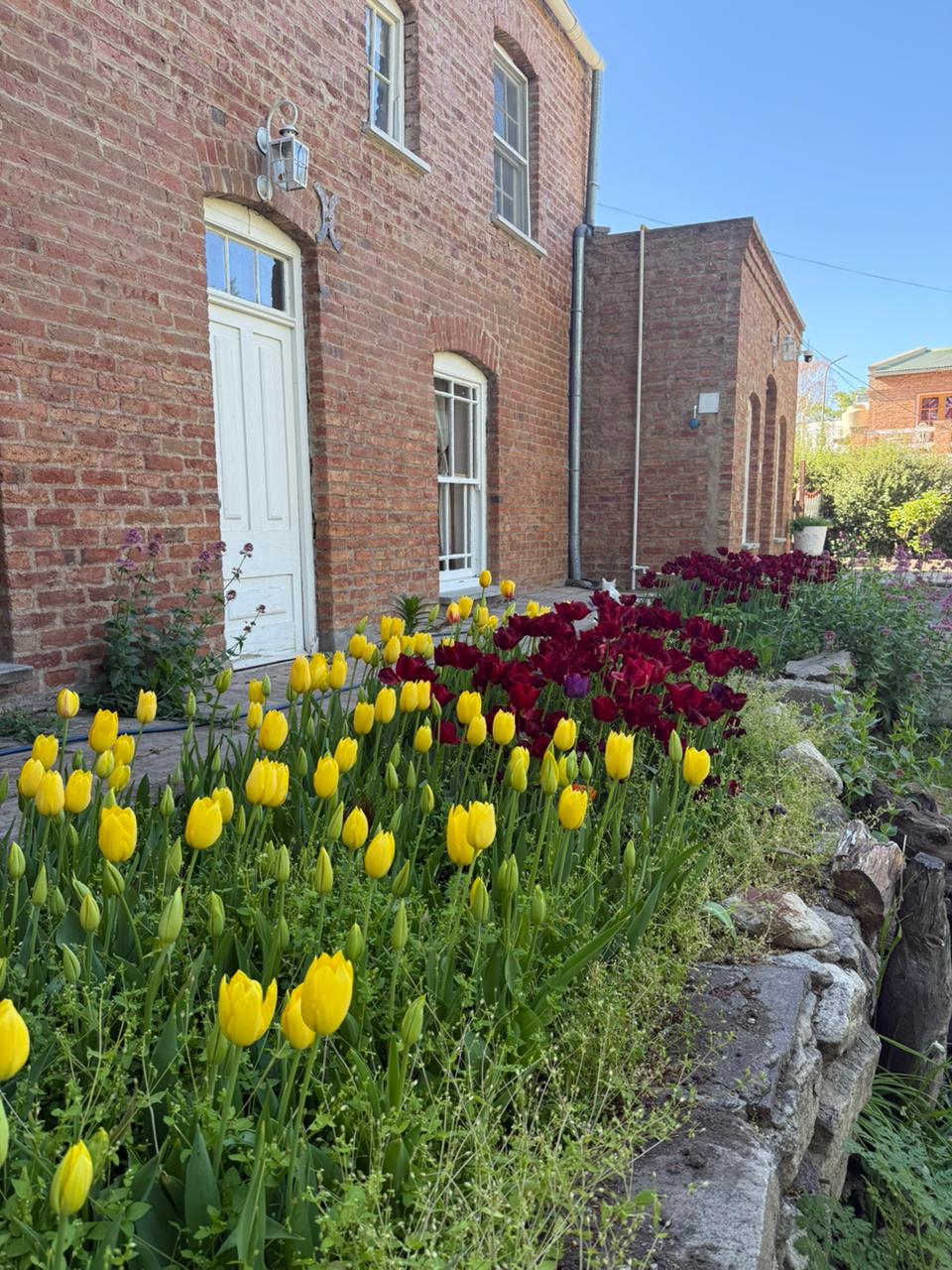 Casa de Té Galés Plas y Coed en Gaiman - Interior 6 con decoración tradicional galesa y servicio de té